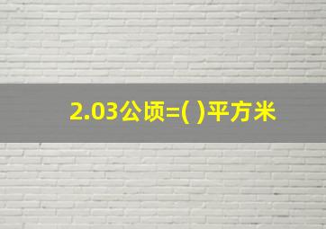 2.03公顷=( )平方米